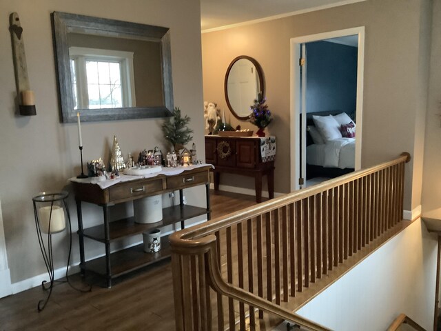 hall featuring dark hardwood / wood-style flooring and ornamental molding