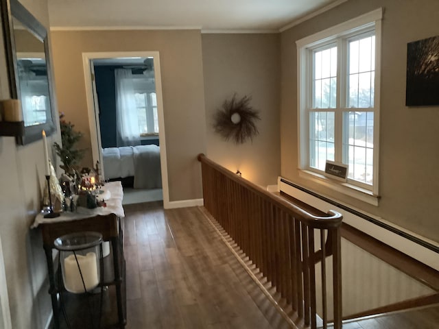 hallway featuring crown molding, dark hardwood / wood-style floors, and a baseboard heating unit