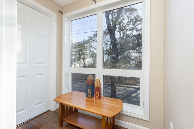 dining area featuring dark hardwood / wood-style flooring