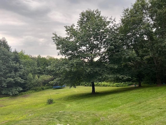 view of yard featuring a trampoline