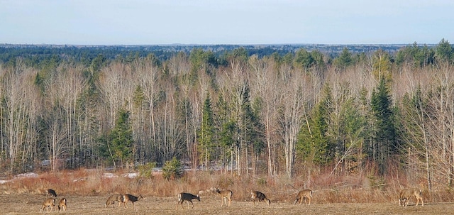 birds eye view of property with a rural view