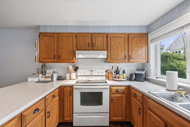 kitchen featuring backsplash, white range with electric stovetop, and sink