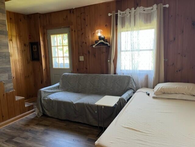 bedroom featuring multiple windows, wood walls, and dark hardwood / wood-style flooring