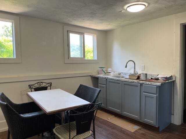 dining space featuring dark wood-type flooring, a healthy amount of sunlight, and sink