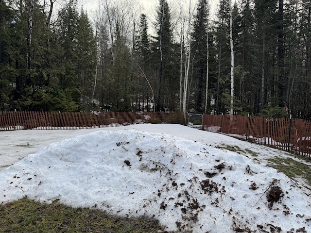 view of yard covered in snow