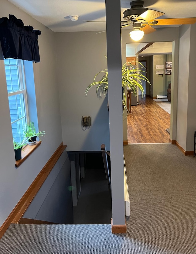 stairway featuring baseboard heating, ceiling fan, and carpet floors