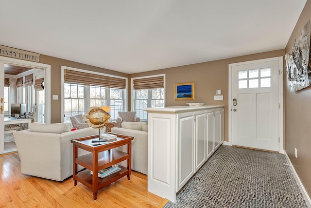 living room featuring light hardwood / wood-style floors