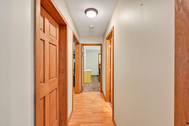 corridor featuring a textured ceiling and light wood-type flooring