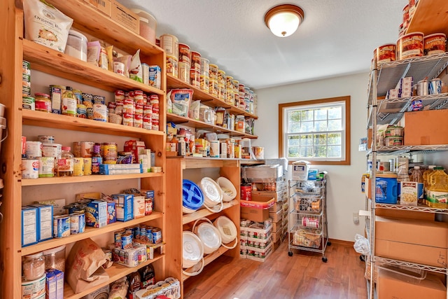 view of pantry