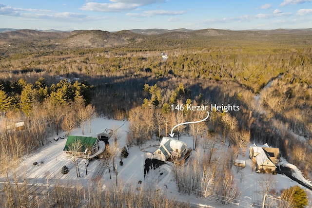 aerial view with a mountain view