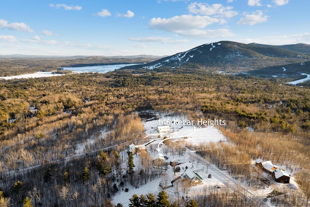 property view of mountains with a water view