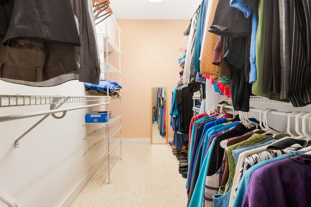 view of spacious closet