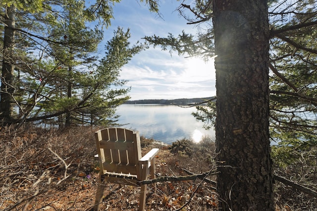 property view of water