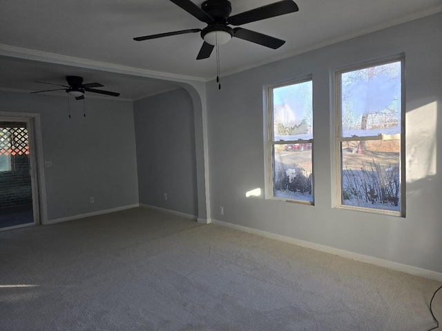 empty room with ceiling fan, carpet, and ornamental molding