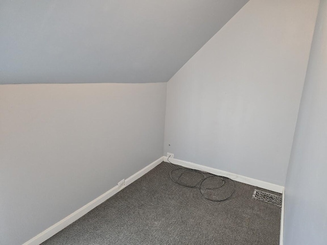 additional living space featuring carpet flooring and lofted ceiling