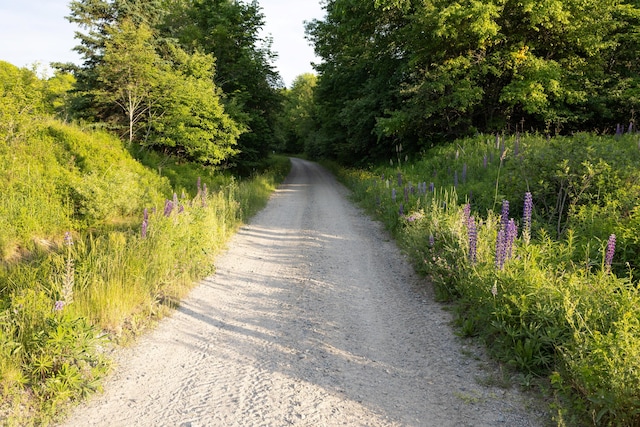 view of road