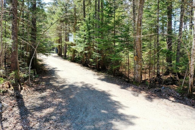 11 Crows Rd, Greenville, ME 04441 - view of street with a wooded view