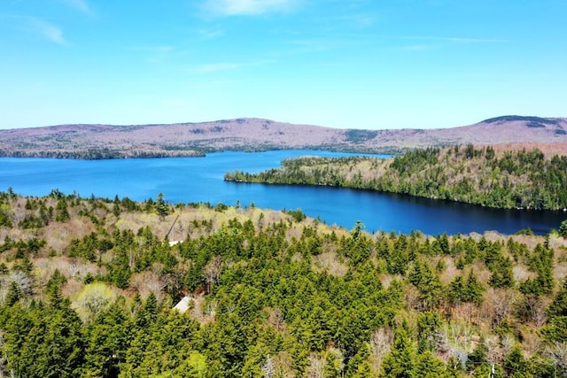11 Crows Rd, Greenville, ME 04441 - water view with a heavily wooded area and mountains