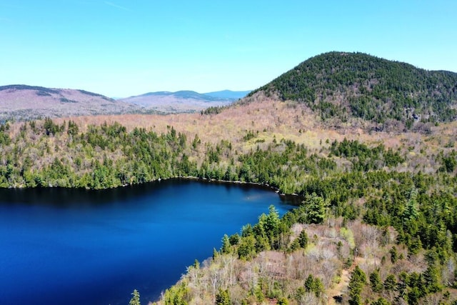 11 Crows Rd, Greenville, ME 04441 - bird's eye view of a heavily wooded area and a water and mountain view