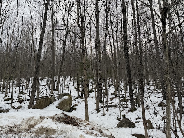 LotA Station Road, Hebron ME, 04238 land for sale