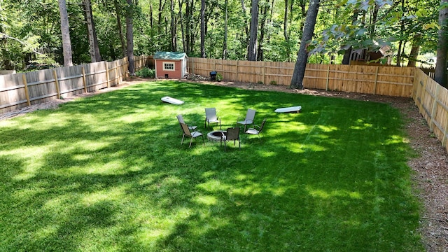 view of yard featuring a shed