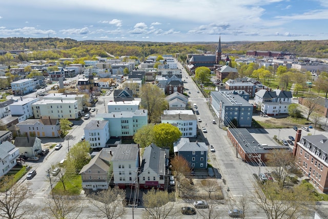 drone / aerial view