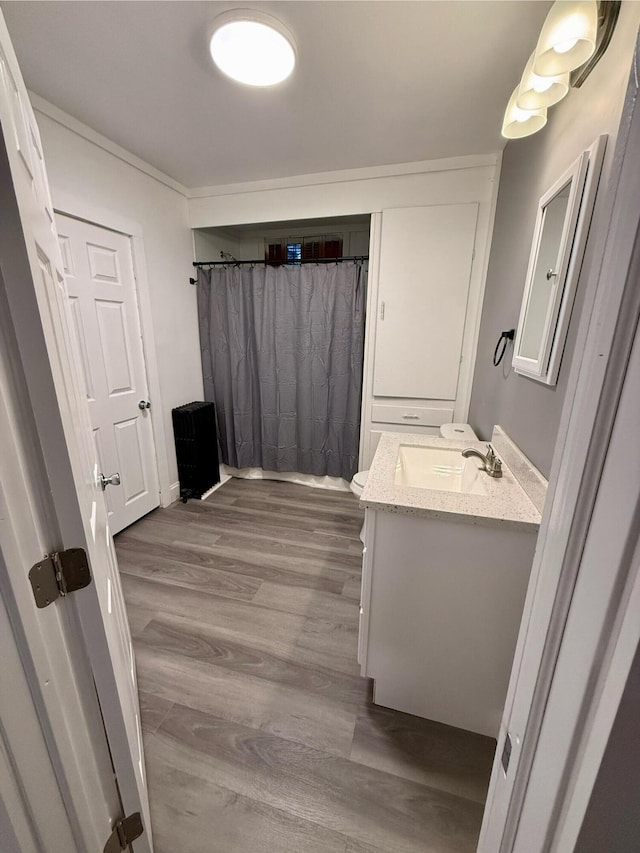 bathroom with hardwood / wood-style floors, a shower with shower curtain, and vanity