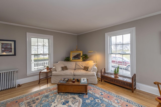 living room featuring hardwood / wood-style flooring, plenty of natural light, radiator, and crown molding