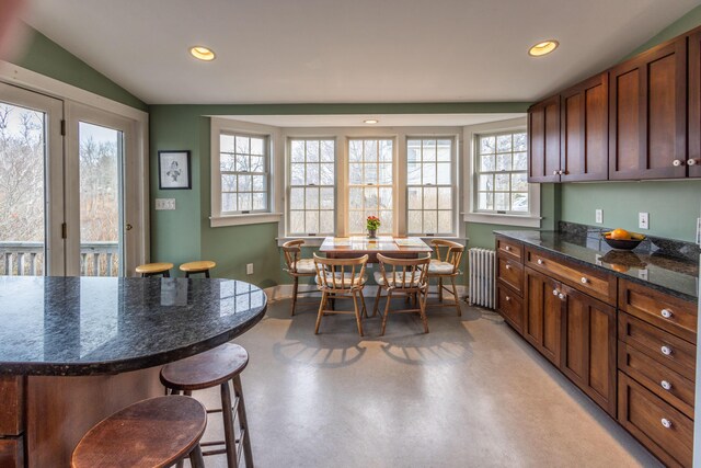 dining room with radiator, a healthy amount of sunlight, and lofted ceiling