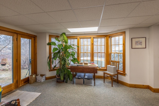 interior space with carpet flooring, a drop ceiling, and a healthy amount of sunlight