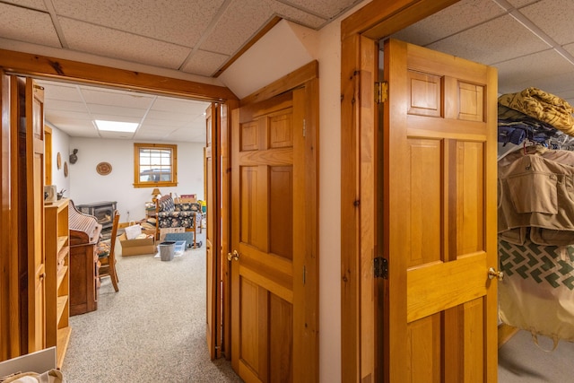 hallway with carpet flooring and a paneled ceiling