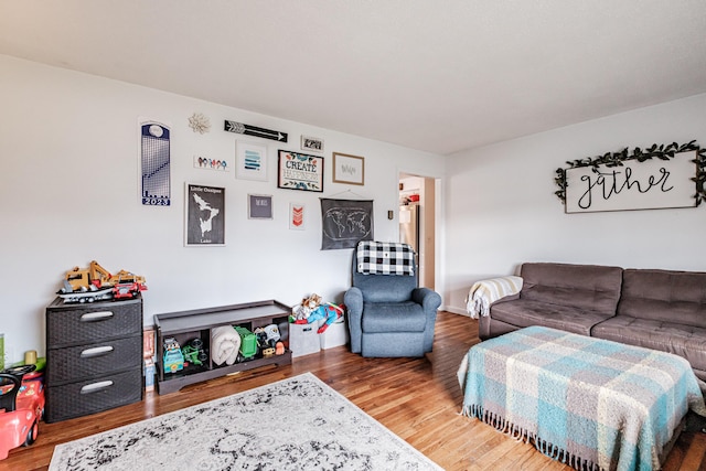 living room featuring wood-type flooring