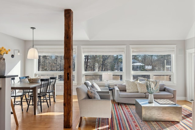 living room featuring wood-type flooring and vaulted ceiling