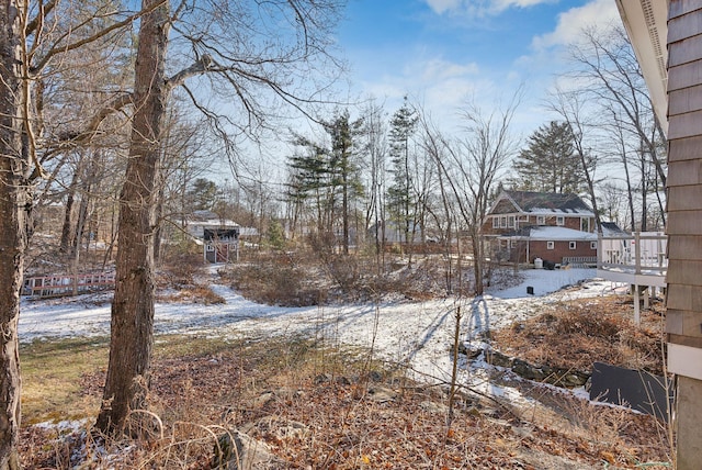 view of yard covered in snow