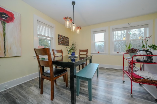 dining room featuring hardwood / wood-style flooring