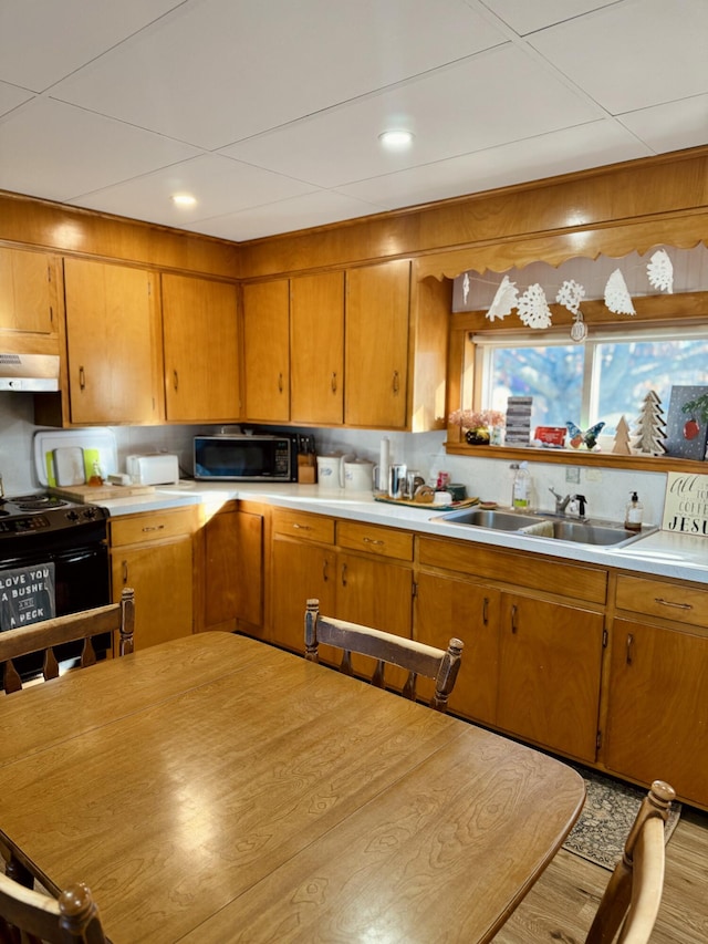 kitchen with black appliances, decorative backsplash, sink, and light hardwood / wood-style flooring