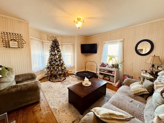 living room featuring a baseboard heating unit, dark hardwood / wood-style floors, and ornamental molding