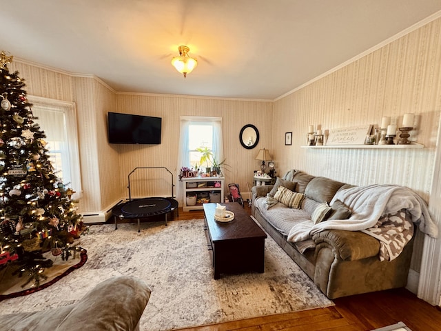 living room with wood-type flooring and crown molding