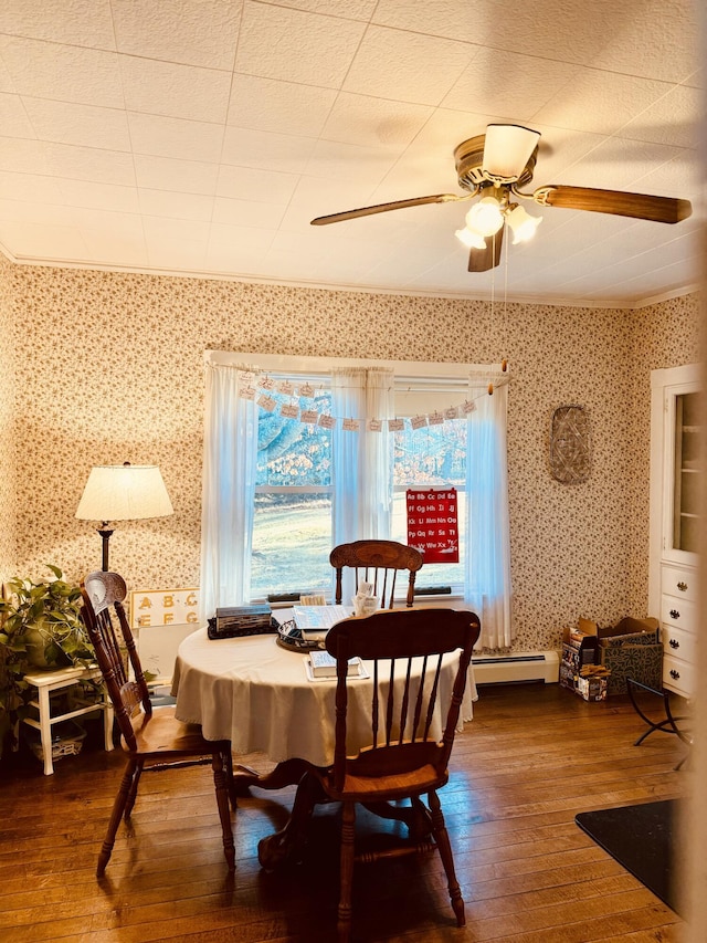 dining room featuring ceiling fan, plenty of natural light, and hardwood / wood-style floors