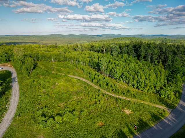 LOT3 Vista Way, Naples, ME 04055 - photo 1