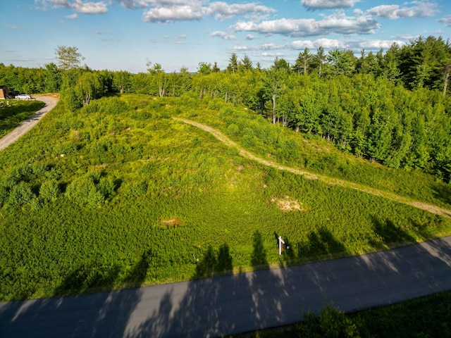 LOT3 Vista Way, Naples, ME 04055 - photo 2