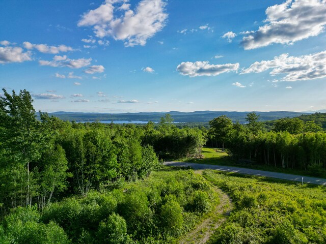 LOT3 Vista Way, Naples, ME 04055 - photo 3