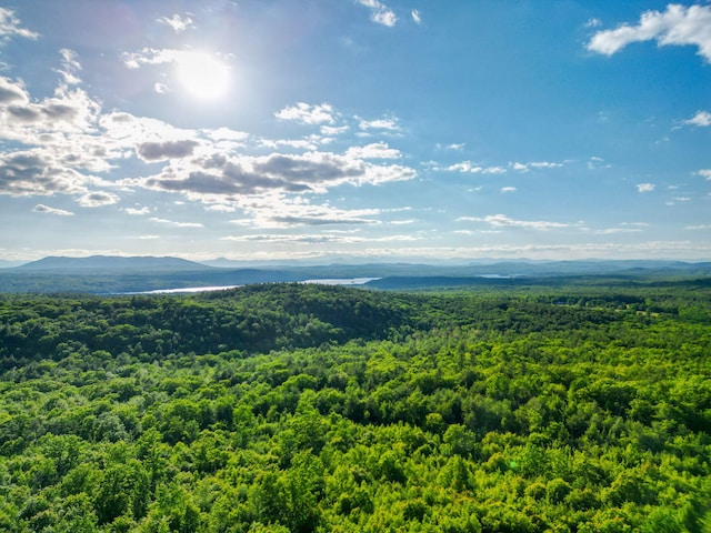 LOT3 Vista Way, Naples, ME 04055 - photo 4