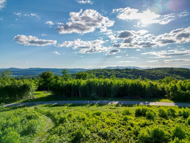 LOT3 Vista Way, Naples, ME 04055 - photo 6