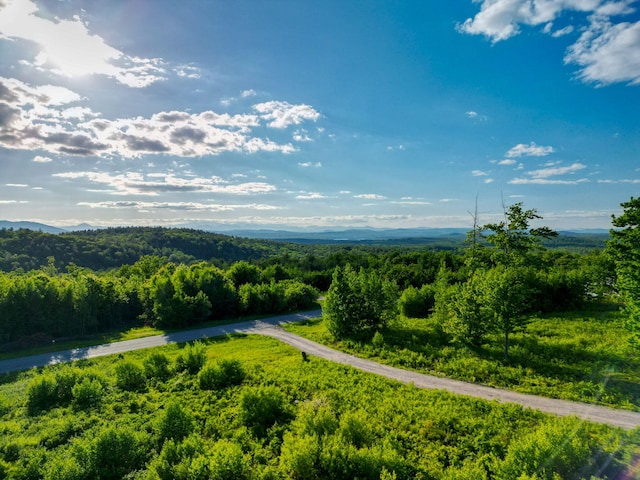 LOT3 Vista Way, Naples, ME 04055 - photo 8