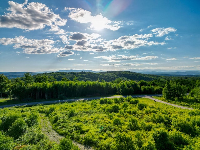 LOT3 Vista Way, Naples, ME 04055 - photo 9