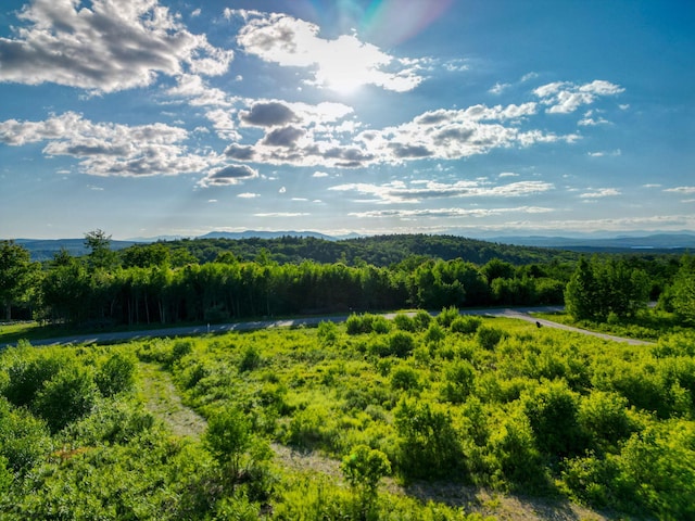 LOT3 Vista Way, Naples, ME 04055 - photo 10