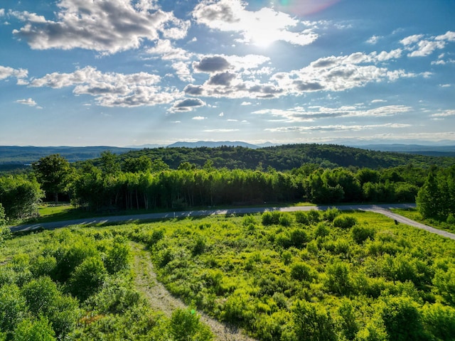 LOT3 Vista Way, Naples, ME 04055 - photo 11