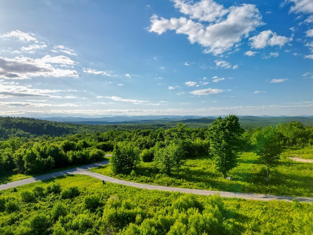 LOT3 Vista Way, Naples, ME 04055 - photo 13