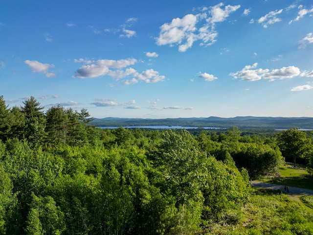LOT3 Vista Way, Naples, ME 04055 - photo 15